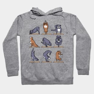 American Pit Bull Terrier Yoga Hoodie